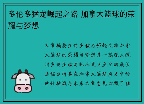 多伦多猛龙崛起之路 加拿大篮球的荣耀与梦想
