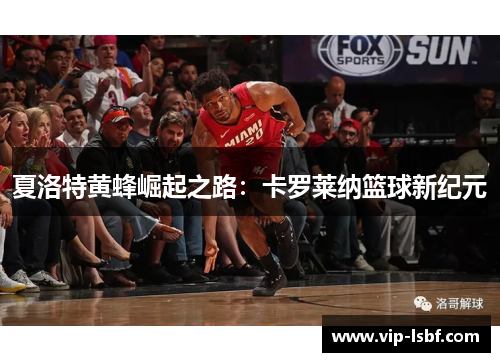 夏洛特黄蜂崛起之路：卡罗莱纳篮球新纪元