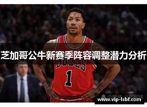 芝加哥公牛新赛季阵容调整潜力分析